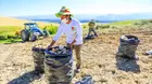 Segunda reforma agraria: Castillo anunció la creación de un gabinete de desarrollo agrario y rural