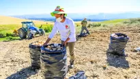 Castillo anunció la creación de un gabinete de desarrollo agrario y rural. Foto: Presidencia