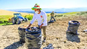 Castillo anunció la creación de un gabinete de desarrollo agrario y rural. Foto: Presidencia