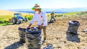 Castillo anunció la creación de un gabinete de desarrollo agrario y rural. Foto: Presidencia