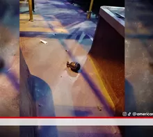 Dejan granada a conductor. América Noticias