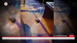 Dejan granada a conductor. América Noticias