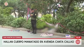 Hallan cuerpo de un hombre en San Martín de Porres. Foto y video: América Noticias