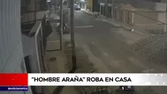 Hombre araña roba en casa