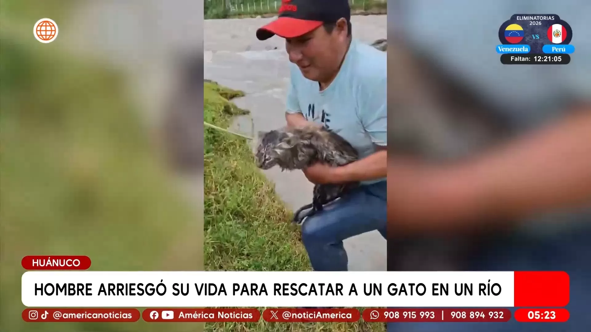 Hombre arriesgó su vida para rescatar a un gato en un río en Huánuco. Foto: América Noticias Hombre arriesgó su vida para rescatar a un gato en un río en Huánuco. Foto: América Noticias