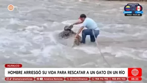 Hombre arriesgó su vida para rescatar a un gato en un río en Huánuco. Foto y video: América Noticias