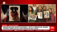 Hombre envenenó a 14 perros en Villa El Salvador
