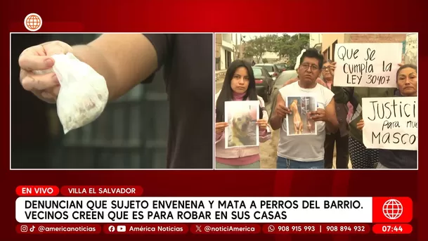 Hombre envenenó a perros en Villa El Salvador. Foto: América Noticias