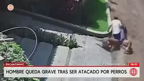 Hombre queda grave tras ser atacado por dos perros en Pachacámac. Foto y video: América Noticias