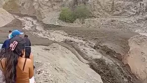 Video: Canal N