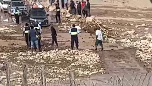 Video: Canal N