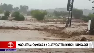 Michell Medina, funcionario del Gobierno Regional de Moquegua. (Foto y video: América Noticias)