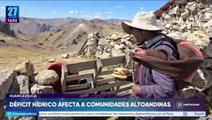 Foto y video: Canal N