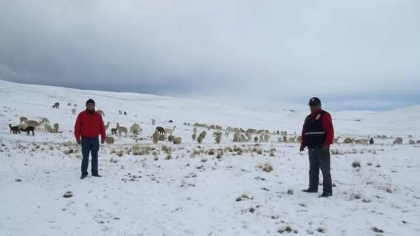 Huancavelica: heladas afectaron a casi 37 mil personas en zonas altoandinas