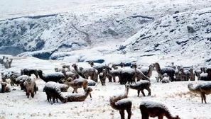 El  Centro de Operaciones de Emergencia Regional (COER) informó también que las lluvias registradas en la provincia de Castrovirreyna provocaron el cierre de la vía principal que une los distritos de Cocas y Mollepampa. Foto: agronoticias