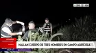 Huaral: Hallaron los cuerpos de tres hombres en campo agrícola