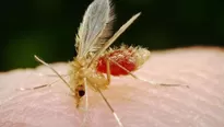 Los pobladores también enfrentan el temor al dengue. / Video: Canal N