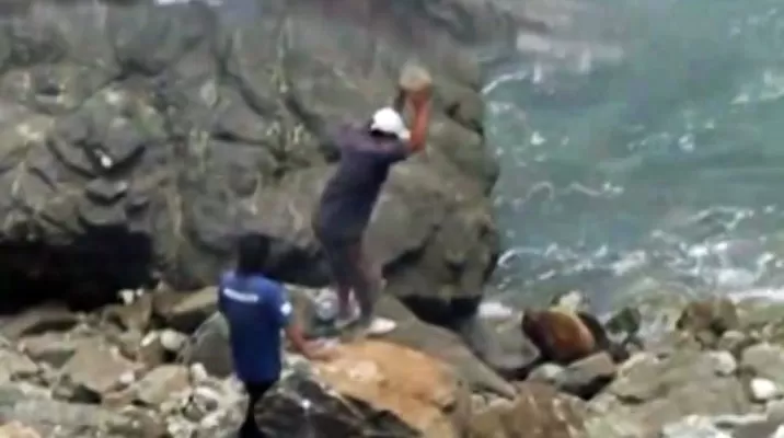 Pescadores que apedrearon a un lobo marino fueron identificados Pescadores que apedrearon a un lobo marino fueron identificados