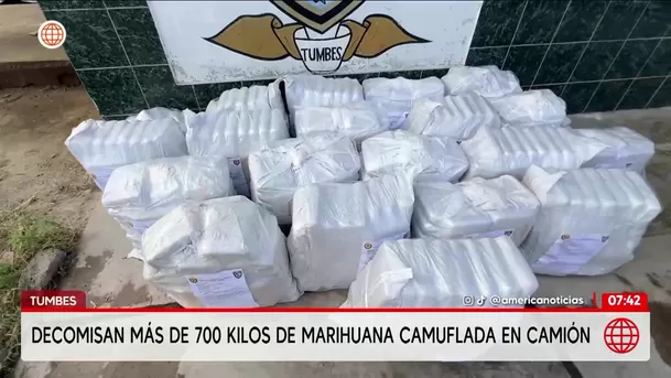 Incautan más de 700 kilos de marihuana en Tumbes. Foto: América Noticias