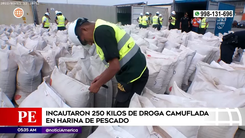 Incautaron 250 kilos de droga camuflada en harina de pescado