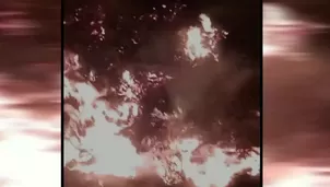 Un incendio forestal destruyó 20 hectáreas de terreno y más de 100 puyas de Raimondi en el distrito de La Libertad, Huaraz. El Gobierno Regional de Áncash confirmó que las llamas continúan activas. Video: Canal N