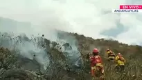 Incendio forestal en Andahuaylas. Foto y video: Canal N