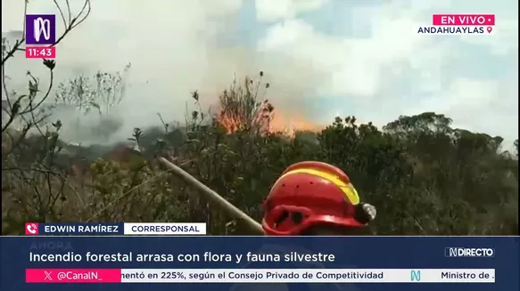 Incendio forestal en Andahuaylas. Foto: Canal N