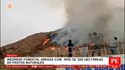 Incendio forestal arrasa más de 200 hectáreas en Arequipa