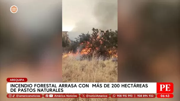 Incendio forestal arrasa más de 200 hectáreas en Arequipa. Foto: América Noticias