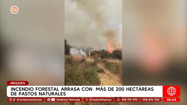 Incendio forestal arrasa más de 200 hectáreas en Arequipa. Foto: América Noticias