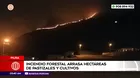 Incendio forestal arrasa pastizales y cultivos en Piura