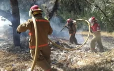 Incendio forestal arrasó 15 hectáreas de un bosque en Áncash - Noticias de ancash