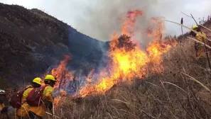 Incendios forestales en el Perú. Foto: Andina