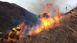 Incendios forestales en el Perú. Foto: Andina