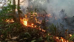 Precisaron que a diario se monitorea para identificar fuego activo en el país. Foto referencial: RCN