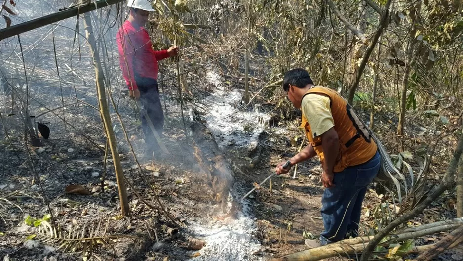 Realizan estrategias para apagar el fuego. Foto: Referencial/Sernanp Realizan estrategias para apagar el fuego. Foto: Referencial/Sernanp