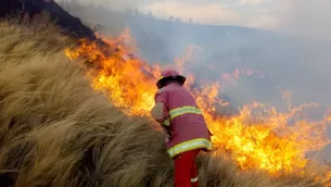 Foto: Andina - Video: América Televisión