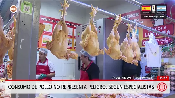 Especialistas descartan riesgo en el consumo de pollo. Foto: América Noticias Especialistas descartan riesgo en el consumo de pollo. Foto: América Noticias
