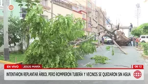 Intentan plantar árbol pero rompen tubería y dejan sin agua a vecinos de Jesús María. Foto y video: América Noticias