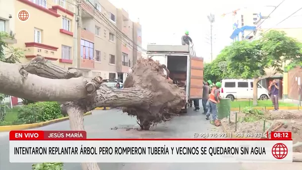 Intentan plantar árbol pero rompen tubería y dejan sin agua a vecinos de Jesús María. Foto: América Noticias