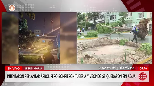 Intentan plantar árbol pero rompen tubería y dejan sin agua a vecinos de Jesús María. Foto: América Noticias