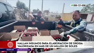 Hallan insumos químicos ilegales. América Noticias