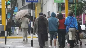 El propóleo es un magnifico complemento alimenticio