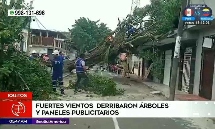 Iquitos Fuertes Vientos Derribaron árboles Y Paneles Publicitarios 8515