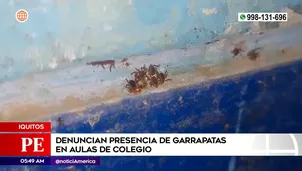 Garrapatas en colegio de Iquitos. Foto y video: América Noticias