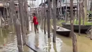 Los más afectados son los niños y los ancianos, quienes enfrentan riesgos de mordeduras de serpientes y otros animales. / Video: Canal N