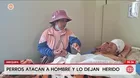 Jauría de perros ataca a hombre de 55 años en Arequipa