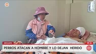 Jauría de perros ataca a hombre de 55 años en Arequipa