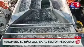 La presidenta del Consejo Directivo de la Sociedad Nacional de Pesquería (SNP), Jessica Luna, advirtió que los efectos del Fenómeno El Niño vienen afectando a la pesca industrial./ Video: Canal N