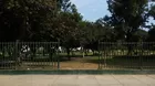 Jesús María: Campo de Marte luce descuidado y sin mantenimiento